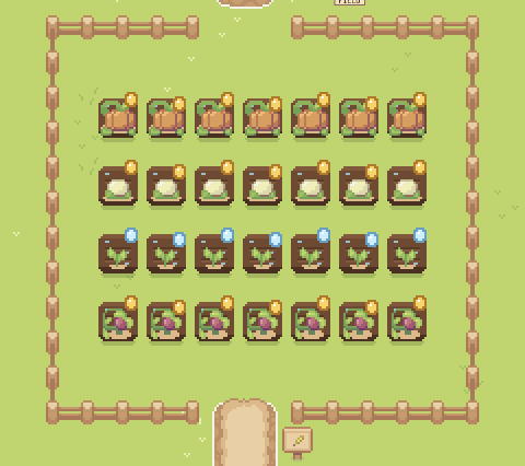 The field with rows of pumpkins, cauliflower, corn and tomatoes