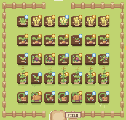 Your first field with five rows of crops